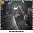 희망카세차장 이미지