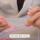 팽팽의원 이미지