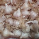 뜨락농원 이미지