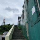 유담빌 | 아기랑) 두류공원/성당못 카페* 초록초록함이 가득한 대구 성당못빌