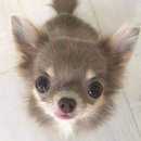 놀자