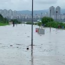 독자유원지 이미지