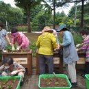 옥이텃밭 이미지