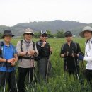 고산 윤선도「물」 이미지