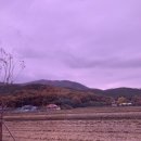지천서원 | 경주 가을 나들이 1 - 옥산서원