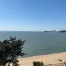 바다배 펜션 네이버블로그