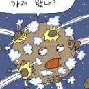 금은유통
