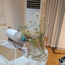 목포역 건너편 호남약국 | 예쁜 소품 가득한 소품샵_물망초