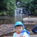 창녕화왕산자연휴양림 숲속의집-소나무 , 창녕 우포한우유통 고기좋아요!