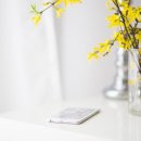 동물병원 다움 이미지