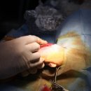 다올동물병원 이미지