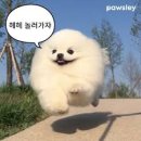리뷰노트 | 블로그리뷰체험단 반려동물 용품 쇼핑몰 운영자가 리뷰노트 써본 후기