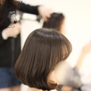 칼리아헤어 네이버블로그