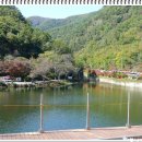 금강(부산) 이미지