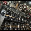 하운드짐 이미지