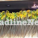 2025년 10월 1일 수요일, HeadlineNews 이미지