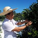 김종우 농장 이미지