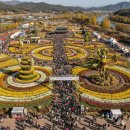 이리공고 | [2025년] 익산천만송이국화축제 기간, 입장료, 주차 꿀팁 총정리 (A to Z)
