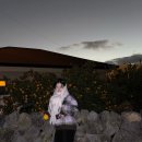 소서감산 이미지