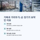 돼지농장
