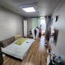 목화(2차) 이미지