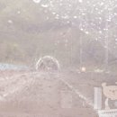 더 설렘 온수수영장펜션 이미지