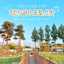 이천년 고도의 새로운 숨결, 다시 숨쉬는 금마(금마면) | 아날로그 여행 추천! 익산 금마! (포토스팟 공유)