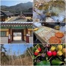 원주굽이길 10코스 북원역사길 | [강원여행_원주] [버스] 이 가격에 딸기체험까지? 원주 웰니스 당일여행 (치악산/자작나무).여담