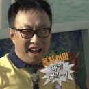 호텔 하비비 | 5월-6월 비행일기