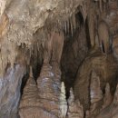 산호동509 이미지