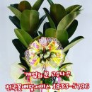 의료법인 대구의료재단 케이병원 이미지