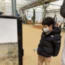 형우농장 이미지