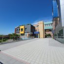 리틀윌링스 이미지