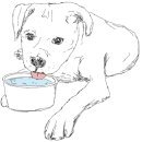 로얄동물메디컬센터w 이미지