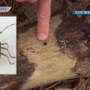 에이스안동환경 이미지