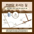 반려담동물병원 | [역삼동동물병원] 강아지 예방접종 종류 반려담동물병원