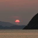 남도바다 Daum카페