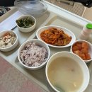 출산 후기 창원 한마음병원 제왕절개 수술 후기 2탄 (걷기, 젖몸살, 유축, 모유119)
