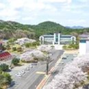 동국대학교(WISE) 불교문화대학원 이미지