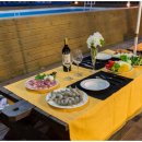 처음처럼 애견펜션 이미지