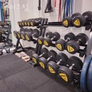 헤이스짐 이미지