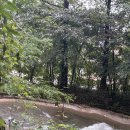 NR-1[경수대로]-하-32 | 그래요. 나 맛있는 거 좋아해요.