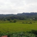 금마면 보건지소 이미지