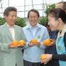 임기만 농장 이미지