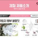 로얄소프트 이미지