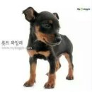 새벽 Daum카페