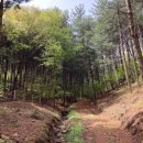 칠갑산산꽃마을 이미지