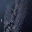 말구리농장 이미지