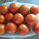 대성농장님의 토마토 이미지