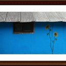 그림이있는 풍경 이미지